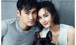 明星爆料吃瓜沈梦辰视频,吃瓜群众直呼过瘾！